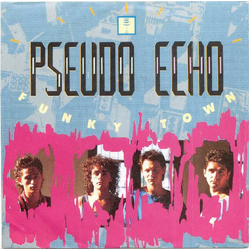 Pseudo Echo Funky Town Vinyl 7" USED
