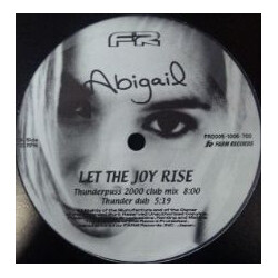 Double S / Abigail Disco Groove / Let The Joy Rise USED VINYL 12INCH 33 S RPM STEREO