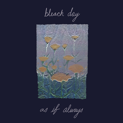Bleach Day as if always Vinyl LP USED