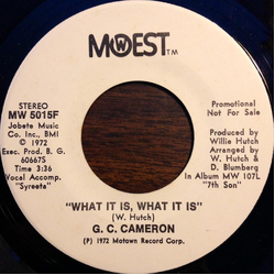 G.C. Cameron What It Is, What It Is Vinyl 7" USED