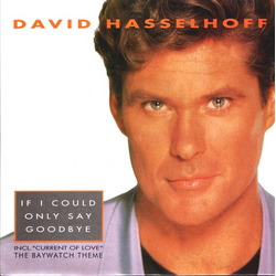 David Hasselhoff If I Could Only Say Goodbye Vinyl 7" USED