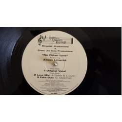 Bingster Productions / Crazy Joe Cole Productions No Other Love Vinyl 12" USED