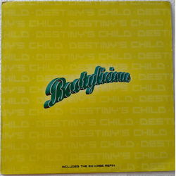 Destiny's Child Bootylicious Vinyl 12" USED