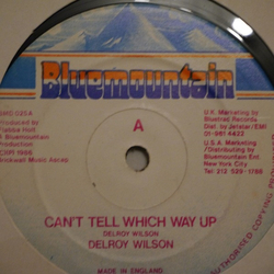 Delroy Wilson / The Heptones Can't Tell Which Way Up / Reggae Line Vinyl 12" USED