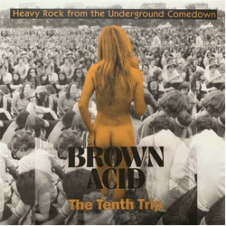 Various Brown Acid: The Tenth Trip (Heavy Rock From The Underground Comedown Vinyl LP USED