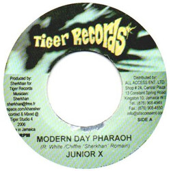 Junior X / Zeno (4) Modern Day Pharaoh / Too Much Trouble USED VINYL 7INCH