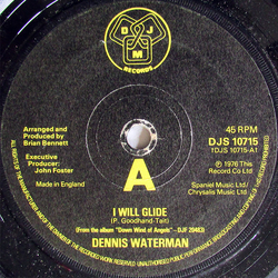Dennis Waterman I Will Glide Vinyl 7" USED