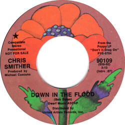 Chris Smither Down In The Flood USED VINYL 7INCH 45 RPM SINGLE PROMO STYRENE