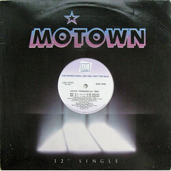 Joyce "Fenderella" Irby Mr. D.J. USED VINYL 12INCH 33 S RPM SINGLE PROMO
