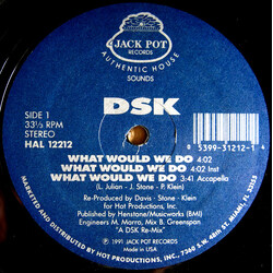 DSK What Would We Do / Read My Lips VINYL 12" USED