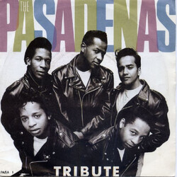 The Pasadenas Tribute (Right On) VINYL 7" USED