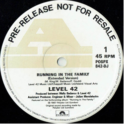 Level 42 Running In The Family Vinyl 12" USED