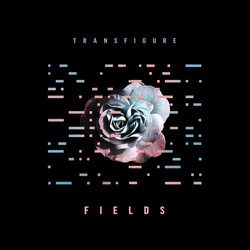 Transfigure Fields USED VINYL 7INCH 45 RPM SINGLE LIMITED EDITION