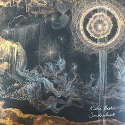 Kishi Bashi Sonderlust Vinyl LP USED