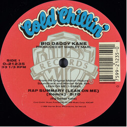Big Daddy Kane Rap Summary (Lean On Me) VINYL 12" USED