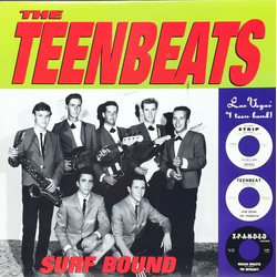 The Teenbeats Surf Bound Vinyl LP USED
