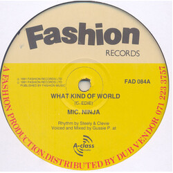 Mike Ninja What Kind Of World / Too Much Gun Vinyl 12" USED