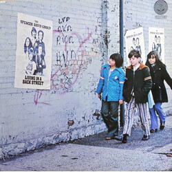 The Spencer Davis Group Living In A Back Street Vinyl LP USED