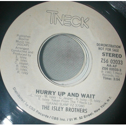 The Isley Brothers Hurry Up And Wait Vinyl 7" USED