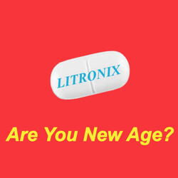 Litronix Are You New Age ? USED VINYL 7INCH 33 S RPM SINGLE