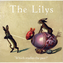 Lilys Which Studies The Past? USED VINYL 7INCH 45 RPM
