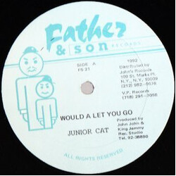 Junior Cat A Would Let You Go USED VINYL 12INCH 45 RPM