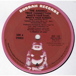 Andrea True Connection What's Your Name, What's Your Number / Fill Me Up (Heart To Heart) Vinyl 12" USED