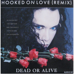 Dead Or Alive Hooked On Love (Remix) VINYL 7" USED