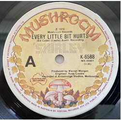 Graeme Strachan Every Little Bit Hurts USED VINYL 7INCH 45 RPM SINGLE