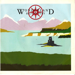 Big Country Wonderland Vinyl 7" USED