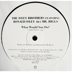 The Isley Brothers / Ronald Isley / Mr. Biggs (6) What Would You Do? USED VINYL 12INCH 33 S RPM PROMO