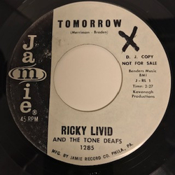 Ricky Livid And The Tone Deafs Tomorrow Vinyl 7" USED