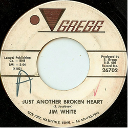 Jim White (14) Just Another Broken Heart Vinyl 7" USED