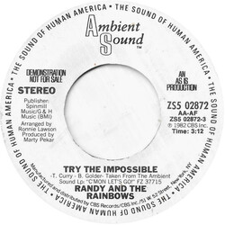 Randy & The Rainbows Try The Impossible USED VINYL 7INCH 45 RPM PROMO STEREO