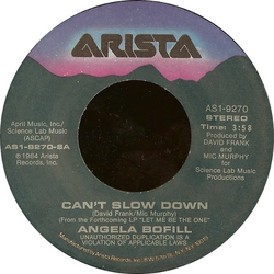 Angela Bofill Can't Slow Down Vinyl 7" USED