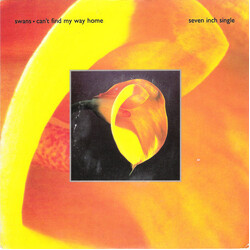 Swans Can't Find My Way Home VINYL 7" USED