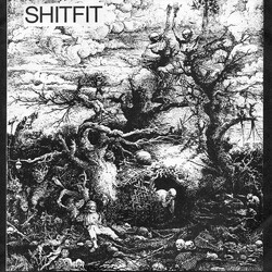 Shitfit Shitfit USED VINYL 7INCH 33 S RPM