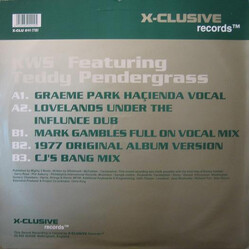 K.W.S. The More I Get The More I Want USED VINYL 12INCH 33 S RPM