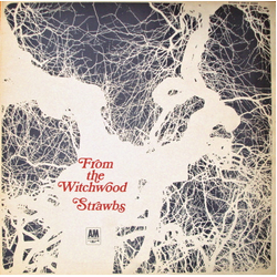 Strawbs From The Witchwood Vinyl LP USED