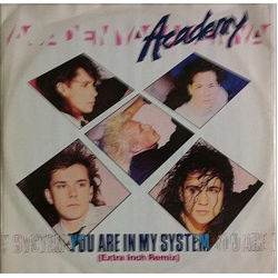 Academy You Are In My System Vinyl 12" USED