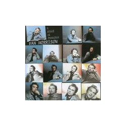 Van Morrison A Period Of Transition Vinyl LP USED