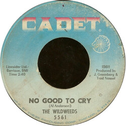 The Wildweeds No Good To Cry / Never Mind USED VINYL 7INCH SINGLE 45 RPM