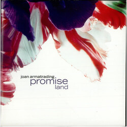 Joan Armatrading Promise Land USED VINYL 7INCH 45 RPM SINGLE