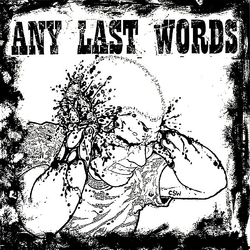 Any Last Words Any Last Words Vinyl 7" USED