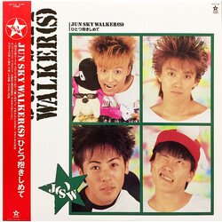 Jun Sky Walker(s) ひとつ抱きしめて Vinyl LP USED