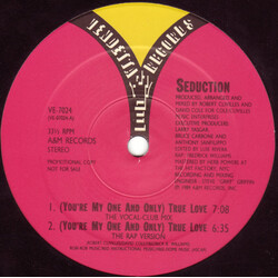 Seduction (You're My One And Only) True Love USED VINYL 12INCH 33 S RPM PROMO