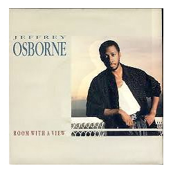 Jeffrey Osborne Room With A View Vinyl 7" USED
