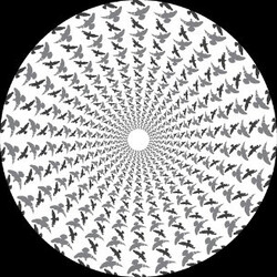 Enzo Siragusa / Nima Gorji Foreal EP Vinyl 12" USED