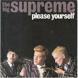 The Big Supreme Please Yourself Vinyl 7" USED
