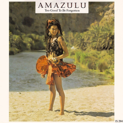 Amazulu Too Good To Be Forgotten Vinyl 7" USED